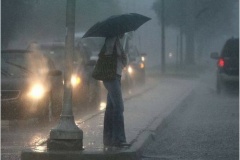 На севере Петербурга выпали две трети среднемесячной нормы осадков