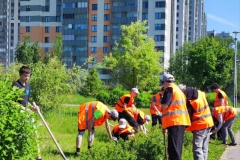 В Парке Дружбы состоялось торжественное открытие проекта «Трудовое лето – 2026»