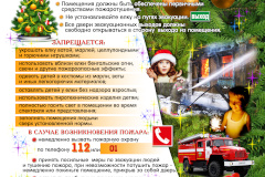 Встреча в рамках профилактических мероприятий «Пожарная безопасность при проведении новогодних праздников, а также правильное использование пиротехнических изделий»