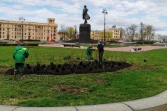 В Кировском районе проходит акция "Сирень Победы"