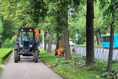 В Петродворцовом районе продолжается ликвидация последствий шторма