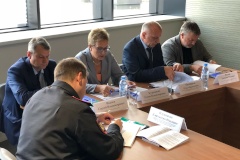 Пробная перепись населения во внутригородском муниципальном образовании Санкт‑Петербурга муниципальный округ Княжево 