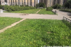 Борьба с борщевиком Выборгском районе