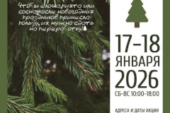В январе 2026 года в Санкт‑Петербурге пройдёт акция «Ёлки, палки и щепа» по сбору и переработке новогодних хвойных деревьев
