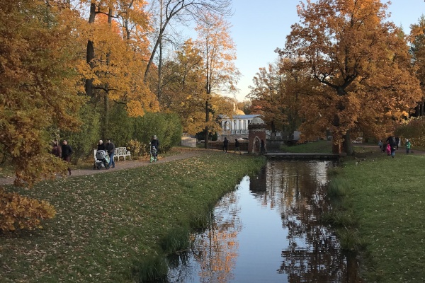 Водоемам Царского Села дадут новую жизнь