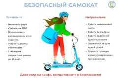 В период с 15 апреля по 17 мая 2024 года на территории Пушкинского района г. Санкт‑Петербурга пройдет городская акция «ОПЕРАЦИЯ СИМ».