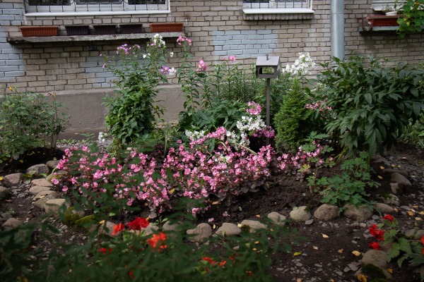 За создание цветников жители представлены к награде