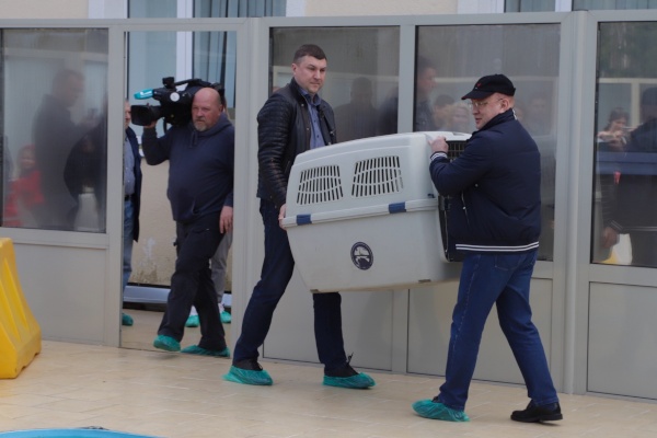 Экосубботник на берегу Финского залива