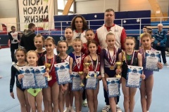 Воспитанницы спортивной школы олимпийского резерва Пушкинского района стали призерами межмуниципальных соревнований «Снежинка» по спортивной гимнастике