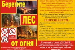 Правила пожарной безопасности в лесу