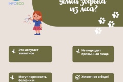 Экология и дети: что волнует юных петербуржцев