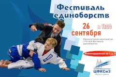 В Центре спорта пройдет  фестиваль единоборств