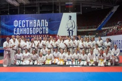 Фестиваль единоборств - Турнир имени В.А. Соловьева