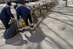 Более 50% дворов Центрального района очистили в рамках весеннего месячника по благоустройству