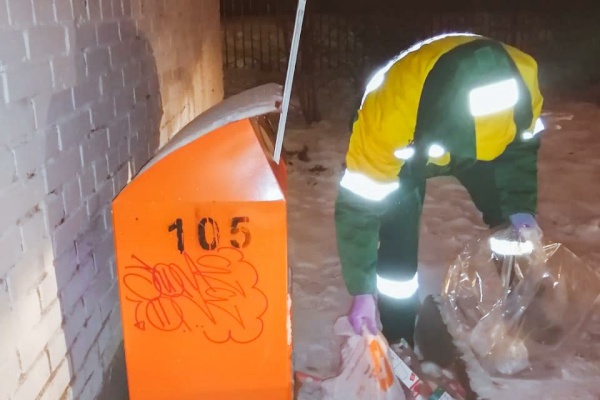 Более 200 обращений приняли за неделю экологические аварийные службы