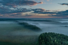 2 февраля – Всемирный день водно-болотных угодий