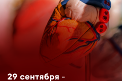 В преддверии Всемирного дня сердца жители Невского района смогут  бесплатно пройти электрокардиографическое исследование