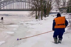 Почти 12 тонн собрано экологическими службами за неделю