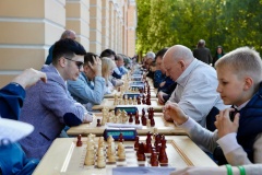 Где научиться играть в шахматы в Центральном районе?