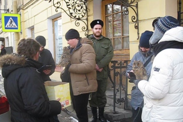 Новогодние рейды в защиту диких животных и птиц пройдут в Петербурге