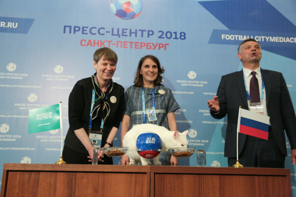 Кот Ахилл предсказал победу сборной России