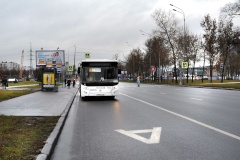 Выделенная полоса для общественного транспорта на Пулковском шоссе заработает 28 октября