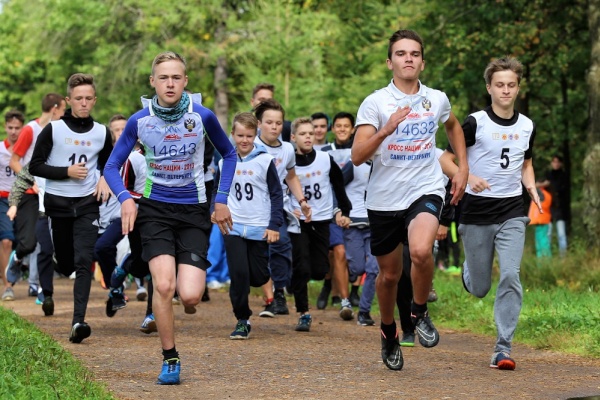 Первенство по кроссу среди школьников района прошло в Пролетарском парке