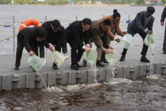 Агломерация Санкт‑Петербург – Ленинградская область укрепляет сотрудничество с вьетнамскими партнерами