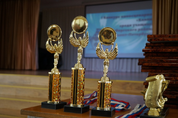 В Выборгском районе подвели итоги I Конкурса киносценариев «Калли»