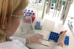 Биотехнологии – российско-финский опыт