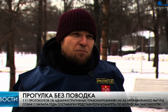 С начала года в Петербурге составлено более 110 протоколов о правонарушениях на владельцев собак