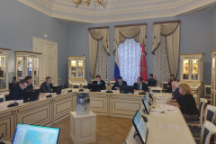 Центр Генерального плана принял участие в заседании рабочей группы Законодательного Собрания Санкт‑Петербурга