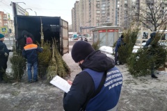 С петербургских улиц убрали 36 незаконных ёлочных базаров