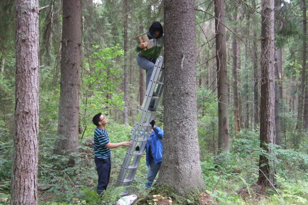 14 октября - День работников заповедного дела