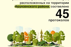 Очень дорогой шашлык. По факту разжигания костров и мангалов во Фрунзенском районе составлено 45 протоколов