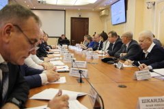 Состоялось заседание рабочей группы Координационного совета по местному самоуправлению в Санкт‑Петербурге