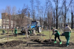 Опубликован список мест проведения Дня благоустройства в Невском районе