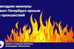 Новогодние каникулы прошли без серьезных происшествий
