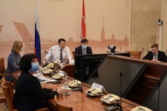 Гамбург и Санкт‑Петербург онлайн обменялись опытом работы в период пандемии