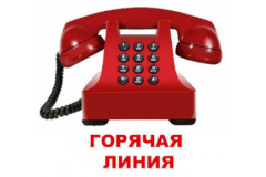 Горячая телефонная линия в администрации Адмиралтейского района