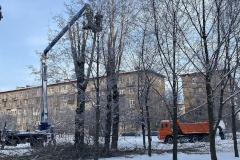 В Невском районе проводится плановая обрезка деревьев