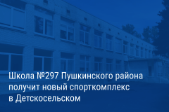 Александр Беглов: Школа №297 Пушкинского района получит новый спорткомплекс в Детскосельском
