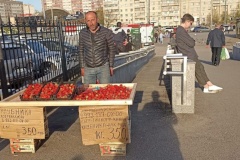 Комитет по вопросам законности, правопорядка и безопасности усиливает мероприятия по ликвидации незаконной торговли