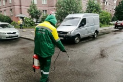 300 сообщений от неравнодушных петербуржцев приняли экологи за неделю