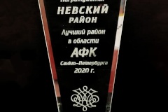 Невский район признан лучшим в области адаптивной физической культуры в 2020 году