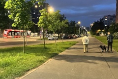 По поручению Александра Беглова реализуются крупные проекты модернизации наружного освещения: на улице Дыбенко установлено более 300 светодиодных фонарей