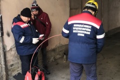 234 выезда для устранения и предотвращения аварий провели специалисты аварийно-восстановительной службы Жилищного комитета с начала 2025 года