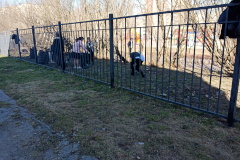 Акция "Зеленая весна" прошла в школе № 202