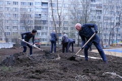 Сквер на Белградской украсили клены и сирень