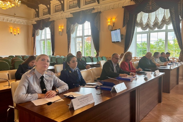 На Коллегиях Василеостровского и Невского районов обсудили вопросы социального питания